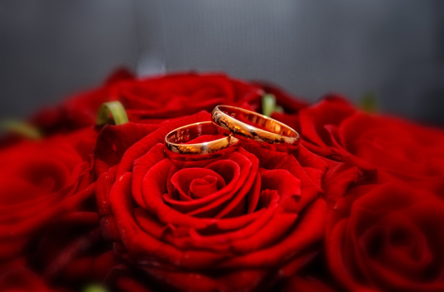 Букет красных роз и кольцо